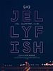 Poster der Jellyfish
