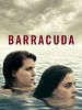 Poster der Barracuda