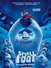 Poster der Smallfoot - Ein eisigartiges Abenteuer