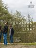 Poster der Permanent Green Light