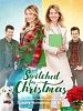 Poster der Switched for Christmas
