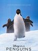 Poster der Penguins