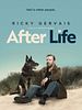 Poster der After Life