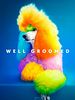Poster der Well Groomed