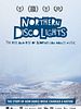 Poster der Northern Disco Lights
