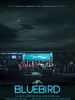 Poster der Bluebird