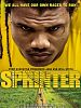 Poster der Sprinter
