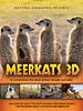 Poster der Meerkats