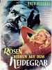 Poster der Rosen blühen auf dem Heidegrab