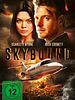 Poster der Skybound