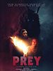Poster der Prey