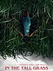 Poster der Im hohen Gras