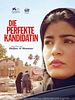 Poster der Die perfekte Kandidatin
