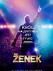Poster der Zenek