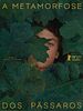 Poster der A Metamorfose dos Pássaros