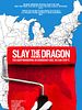 Poster der Slay the Dragon