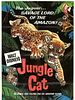Poster der Wilde Katzen