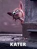 Poster der Kater