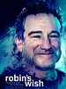Poster der Robin's Wish