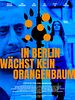 Poster der In Berlin wächst kein Orangenbaum