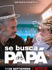Poster der Papa gesucht
