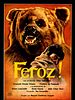 Poster der Feroz