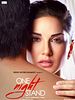 Poster der One Night Stand
