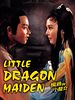 Poster der Little Dragon Maiden
