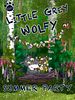 Poster der Der kleine graue Wolf - Sommerfest