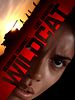 Poster der Wildcat