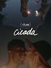 Poster der Cicada