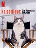 Poster der Katzenliebe: Eine Hommage an Katzen