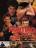 Poster der Fighting Spirit