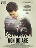 Poster der Non odiare