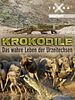 Poster der Krokodile - Das wahre Leben der Urzeitechsen