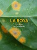 Poster der La Roya