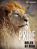 Poster der Pride - Ruler's at Risk