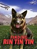 Poster der Rin Tin Tin