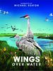 Poster der Wings Over Water