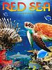 Poster der Das Rote Meer