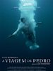 Poster der A Viagem de Pedro