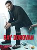 Poster der Ray Donovan