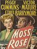 Poster der Moss Rose