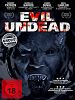 Poster der Evil Undead