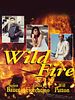 Poster der Wildfire