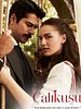 Poster der Çalıkuşu