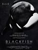 Poster der Blackfish