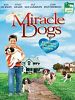 Poster der Miracle Dogs
