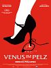 Poster der Venus im Pelz