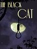 Poster der Le chat noir